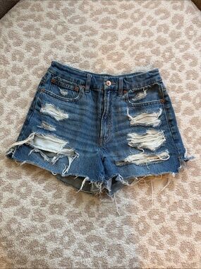 American Eagle Curvy 90s Boyfriend Short
